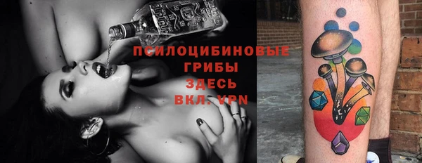 МДПВ Михайловка