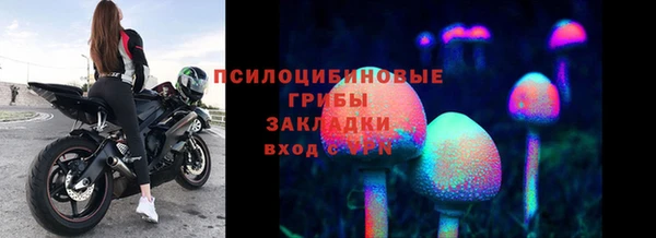 стаф Усинск
