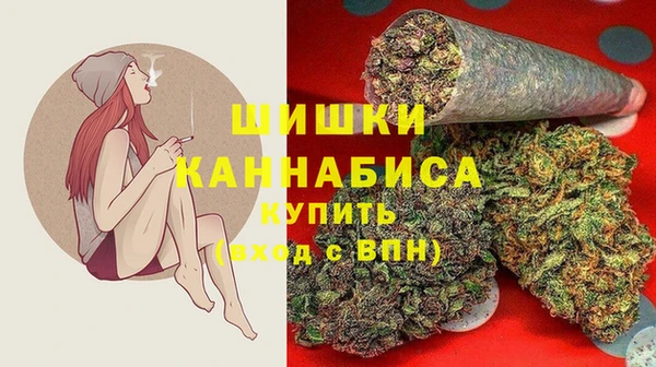 PSILOCYBIN Вязники