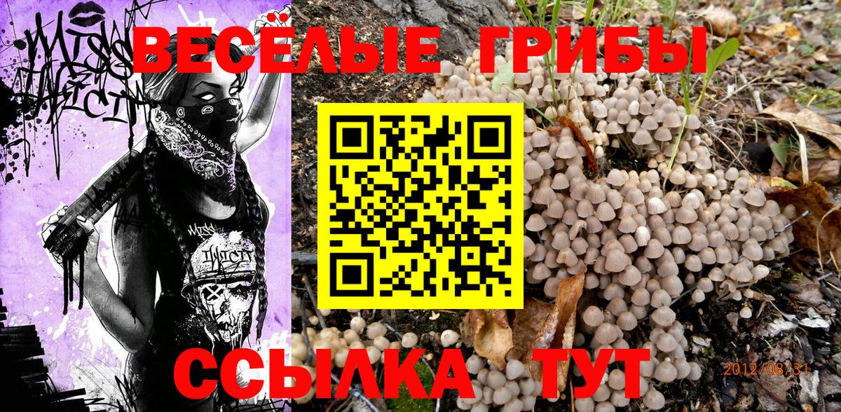 Псилоцибиновые грибы ЛСД  Псилоцибиновые грибы MAGIC MUSHROOMS  Приморско-Ахтарск  Вход с VPN 